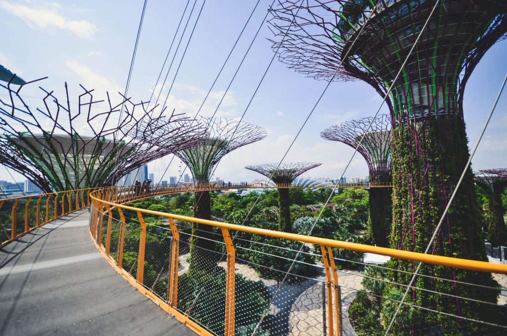 Singapore's Super Trees, tall metal structures covered in green vines